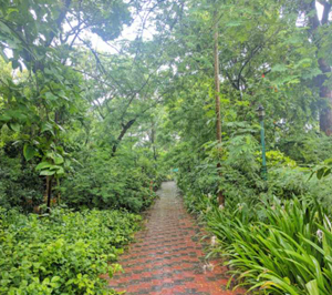 Butterfly Park