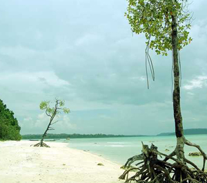 Vijaynagar Beach