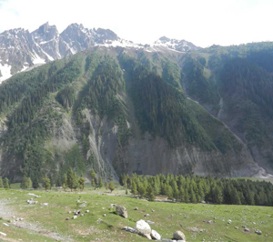 Baltal