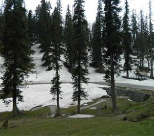 Gulmarg