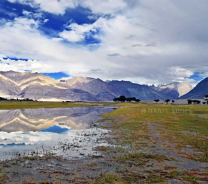 Nubra Valley