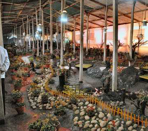 Thread Garden